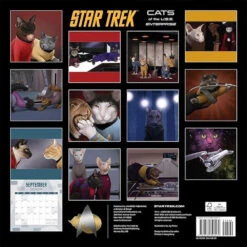 Star Trek Cats 2024 Wall Calendar -T-shirt Store ST C24WC 29 MF4