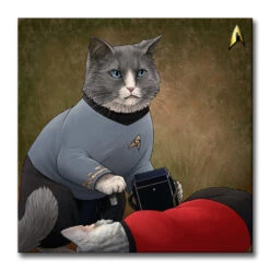 Star Trek: The Original Series McCoy Cat Premium Gallery Wrapped Canvas -T-shirt Store ST Cats Canvas RO 1 McCoyCat
