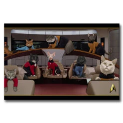 Star Trek: The Next Generation Crew Cats Gallery Wrapped Canvas -T-shirt Store ST Cats Canvas set cats RO 1