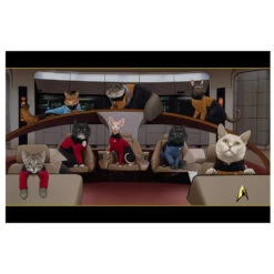 Star Trek: The Next Generation Crew Cats Sherpa Blanket -T-shirt Store ST Cats Sherpa set cats RO 1