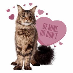 Star Trek: Discovery Grudge Be Mine Adult Short Sleeve T-Shirt -T-shirt Store ST D BEMINE Adult ShortSleeve Tshirt RO