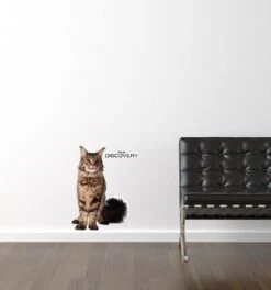 Star Trek: Discovery Grudge Wall Decal