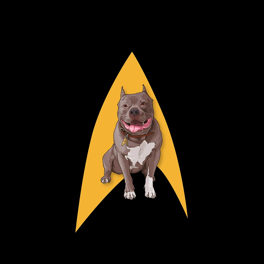 Star Trek: Picard No.1 Delta Premium Tote Bag 4 Star Trek: Picard No.1 Delta Premium Tote Bag - Image 2