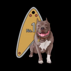 Star Trek: Picard No.1 Tag Pillow -T-shirt Store ST P NO1T Pillow 16x16 RO