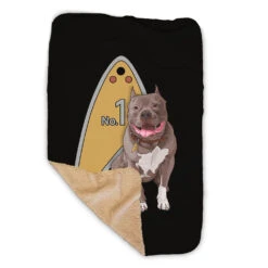 Star Trek: Picard No.1 Tag Sherpa Blanket