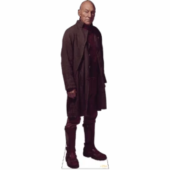 Star Trek: Picard Picard Cardboard Cutout Standee