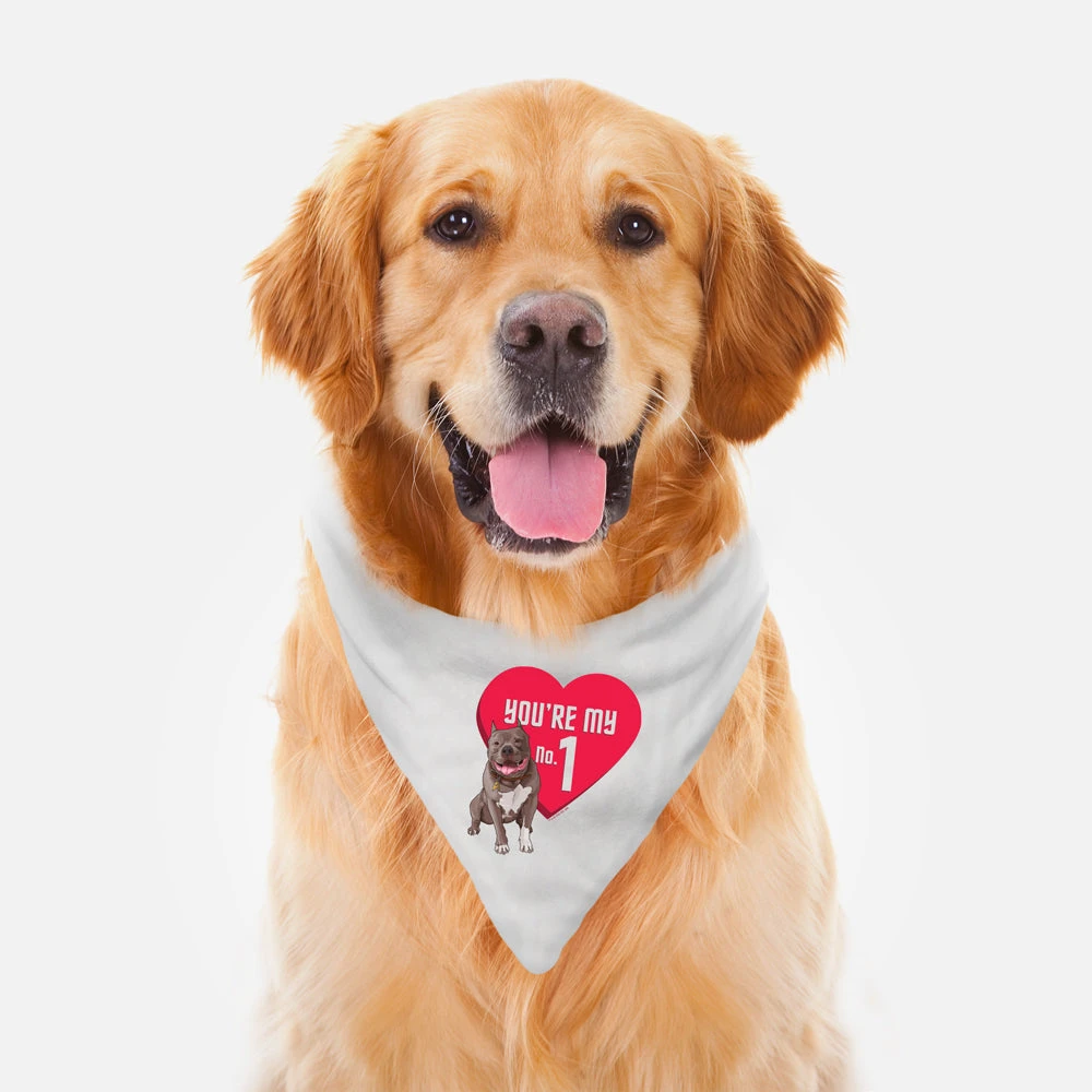 Star Trek: Picard You're My No.1 Pet Bandana 3 Star Trek: Picard You're My No.1 Pet Bandana