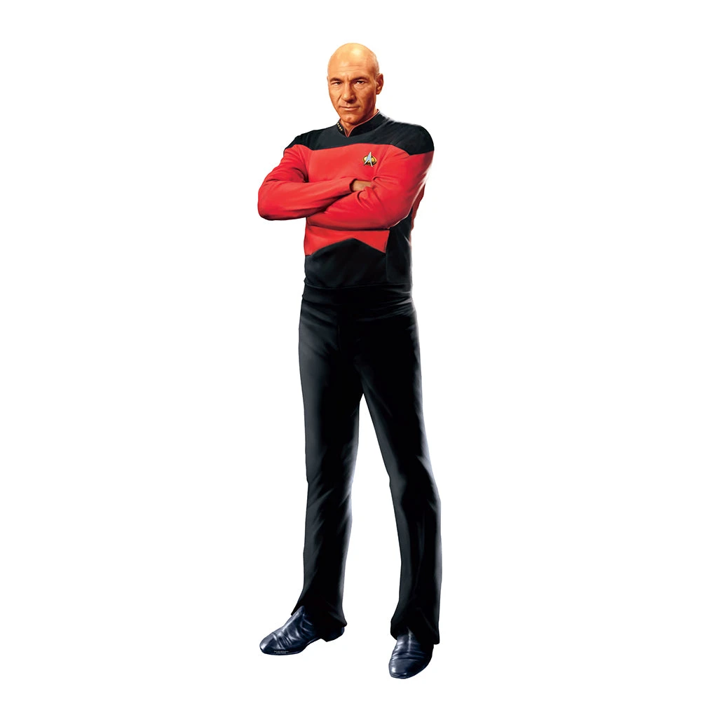 Star Trek: The Next Generation Picard Wall Decal 4 Star Trek: The Next Generation Picard Wall Decal - Image 2