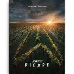 Star Trek: Picard Original Key Art Wrapped Canvas -T-shirt Store StarTrek Picard 18x24Canvas565 00502 RO