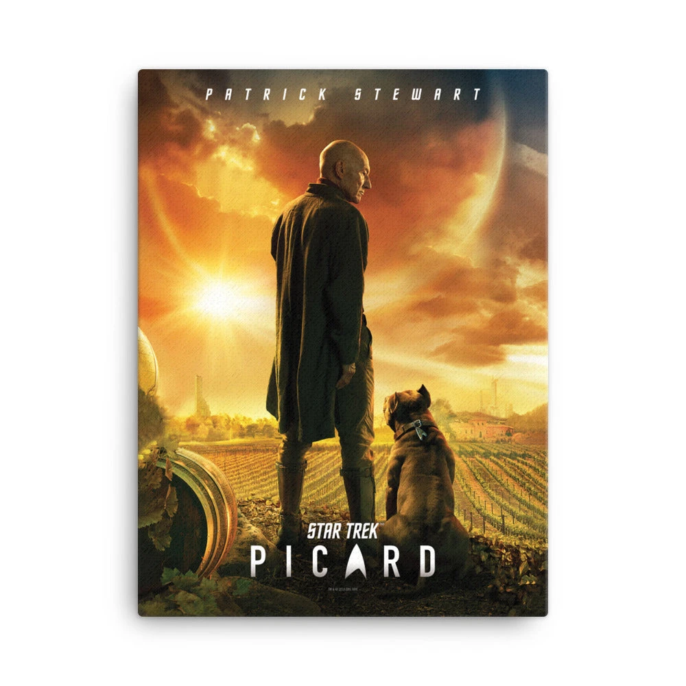 Star Trek: Picard Wrapped Canvas 3 Star Trek: Picard Wrapped Canvas