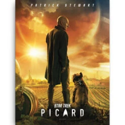Star Trek: Picard Wrapped Canvas 5 Star Trek: Picard Wrapped Canvas -T-shirt Store StarTrek Picard 18x24Canvas565 00504 RO