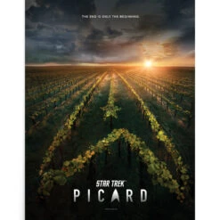 Star Trek: Picard Original Key Art Premium Poster -T-shirt Store StarTrek Picard 18x24Poster3874 00501 RO