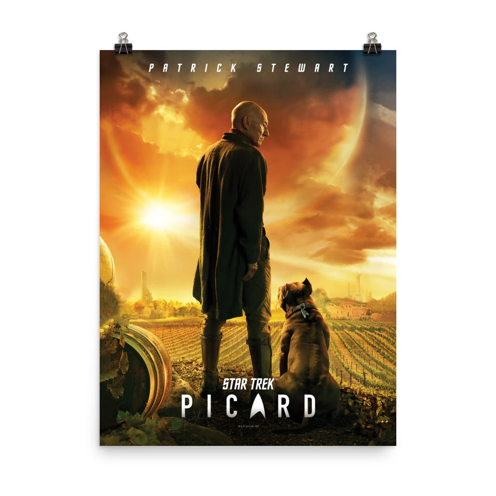 Star Trek: Picard Premium Poster 3 Star Trek: Picard Premium Poster