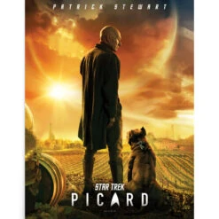 Star Trek: Picard Premium Poster 5 Star Trek: Picard Premium Poster -T-shirt Store StarTrek Picard 18x24Poster3874 00503 RO